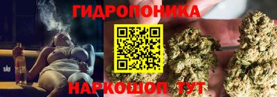прущие грибы Тара