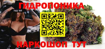 молекула духа Ставрополь