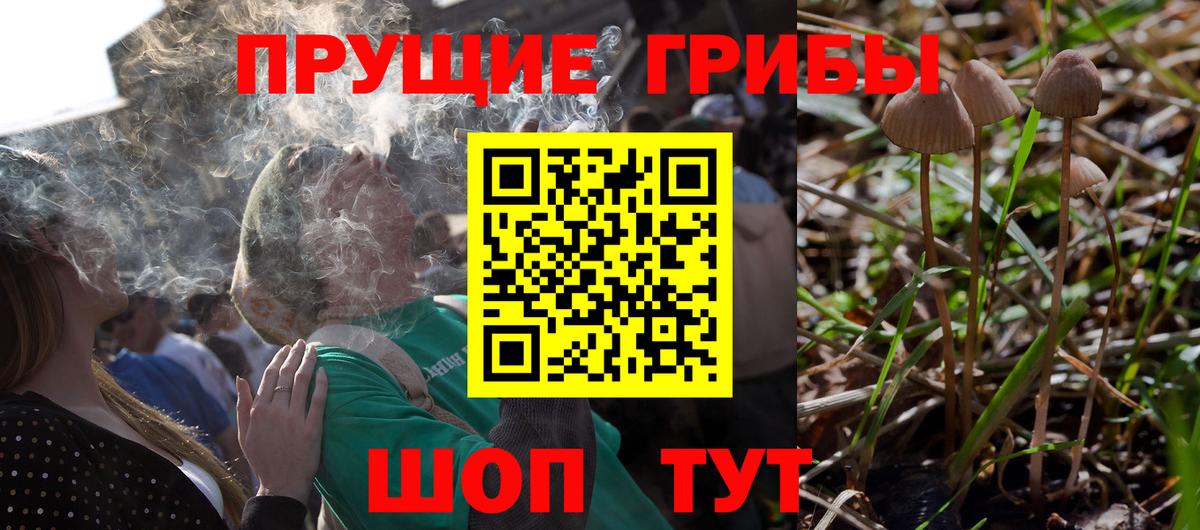 Галлюциногенные грибы GOLDEN TEACHER Новоалександровск